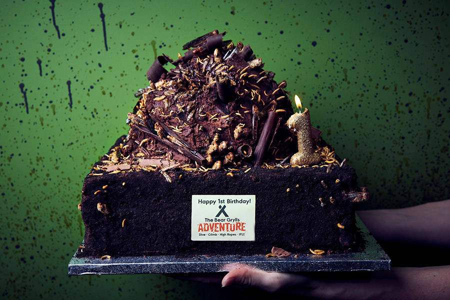 Close-up of Bear Gryll's Adventure birthday cake
