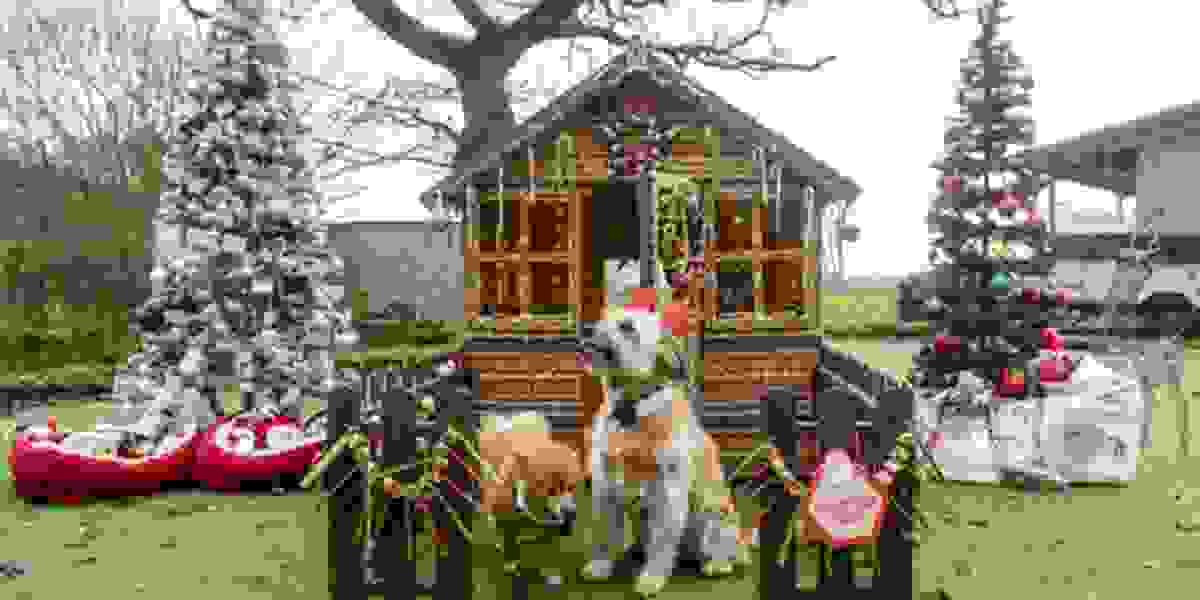 Giant Christmas Gingerbread Grotto For Rescue Dogs