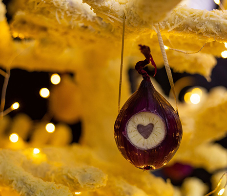 Cheese Tree Square 1