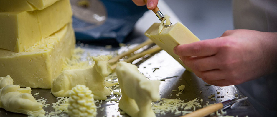 Cheese Tree Horizontal