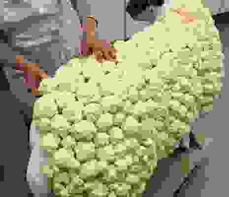 Adding Cauliflower To Sculpted Sheep Adding Cauliflower To Sculpted Sheep
