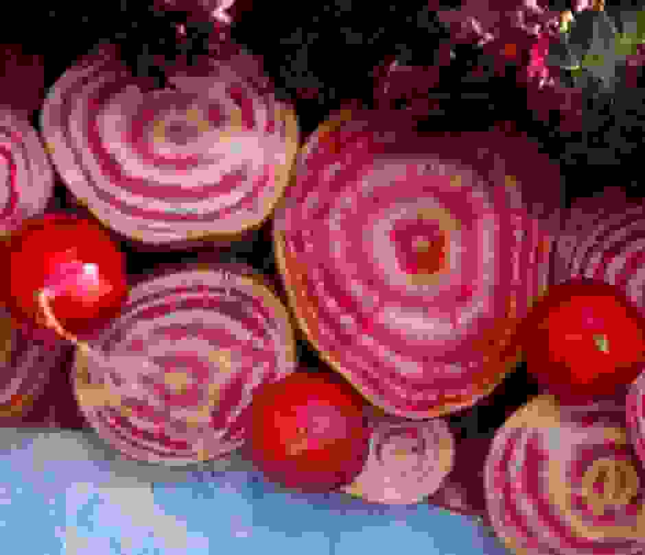 Candy Stripe Beetroot Close Up