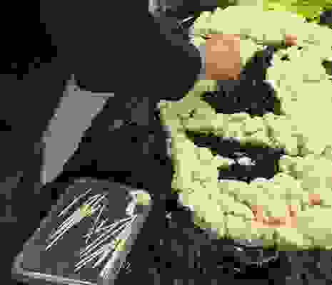 Girl With Pearl Earring Work In Progress Cauliflower On Face (1) Girl With Pearl Earring Work In Progress Cauliflower On Face (1)